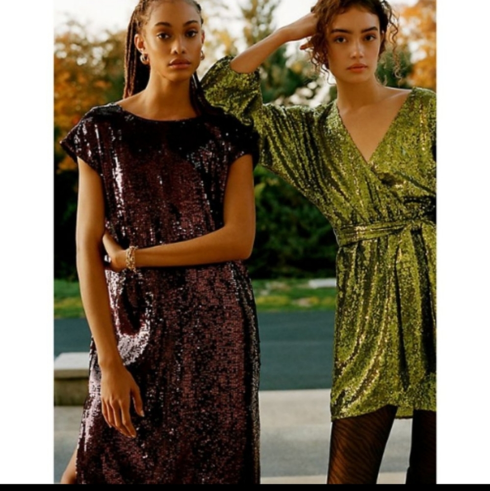 NWT Anthropologie Kara sequined dress.Size M Color wine/bordeaux